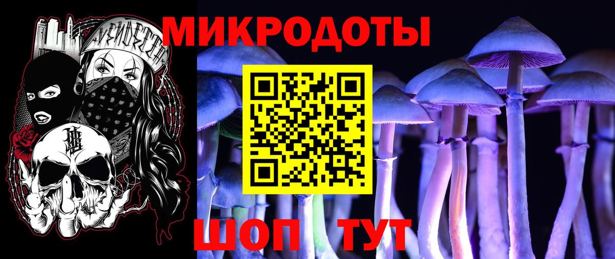 магазин  наркотиков  Псилоцибиновые грибы GOLDEN TEACHER  Вход с VPN  Мирный 